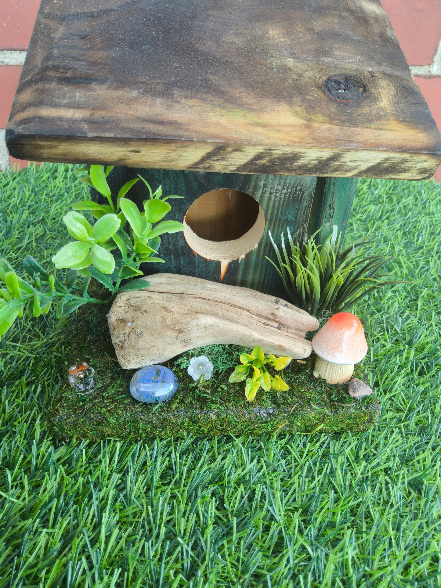 Hummingbird Home Driftwood with Mushroom