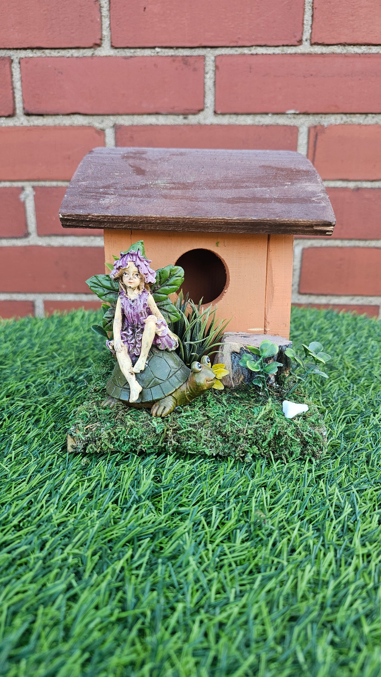 Hummingbird Home Fairy on Turtle