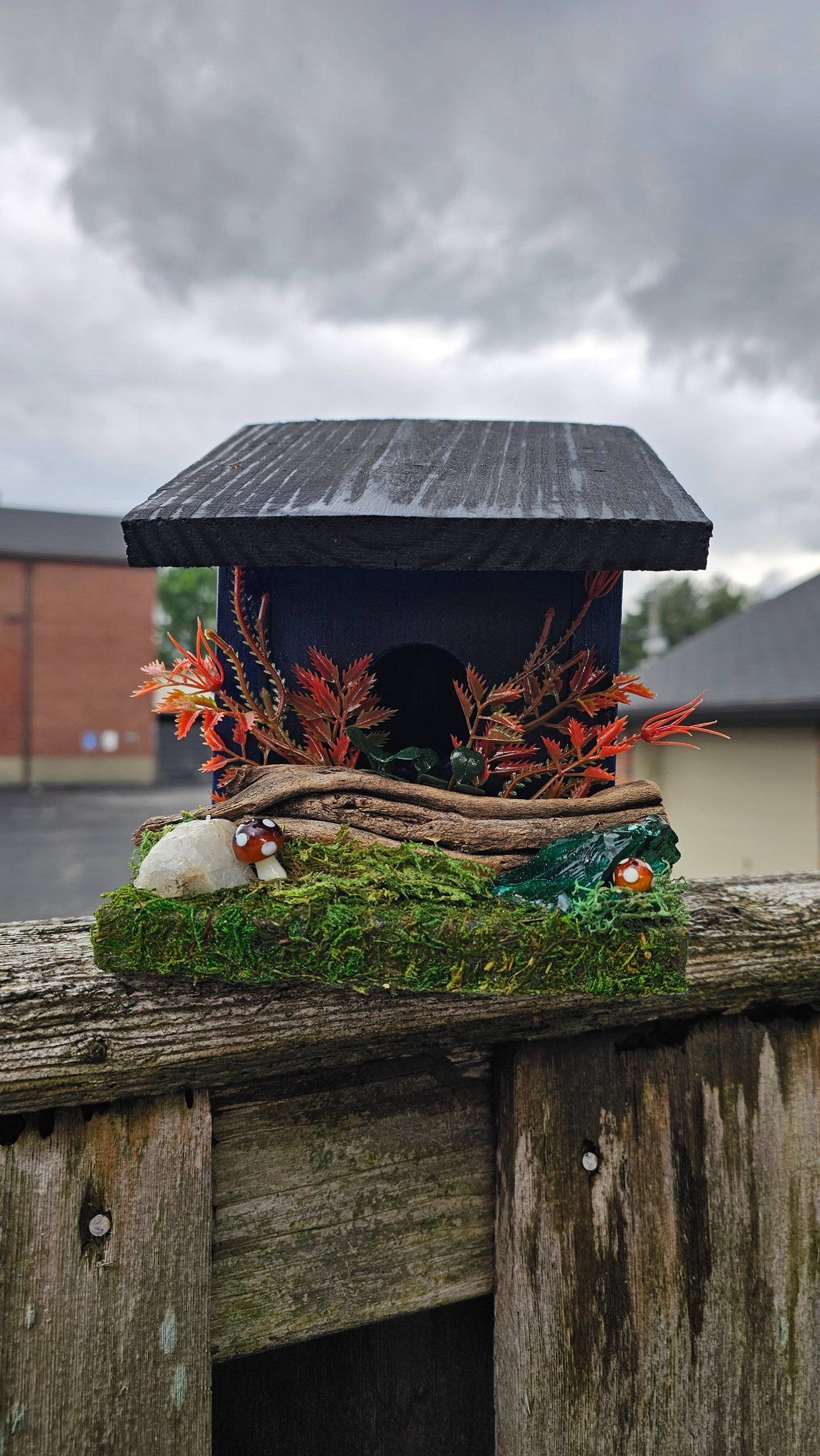 Hummingbird Home Driftwood and Glass