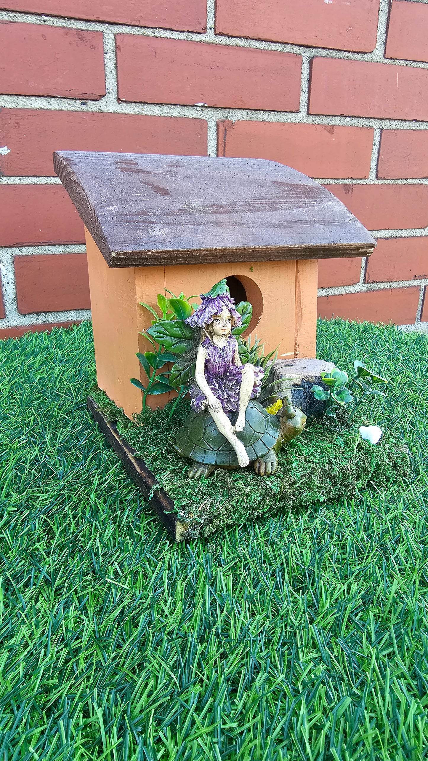 Hummingbird Home Fairy on Turtle