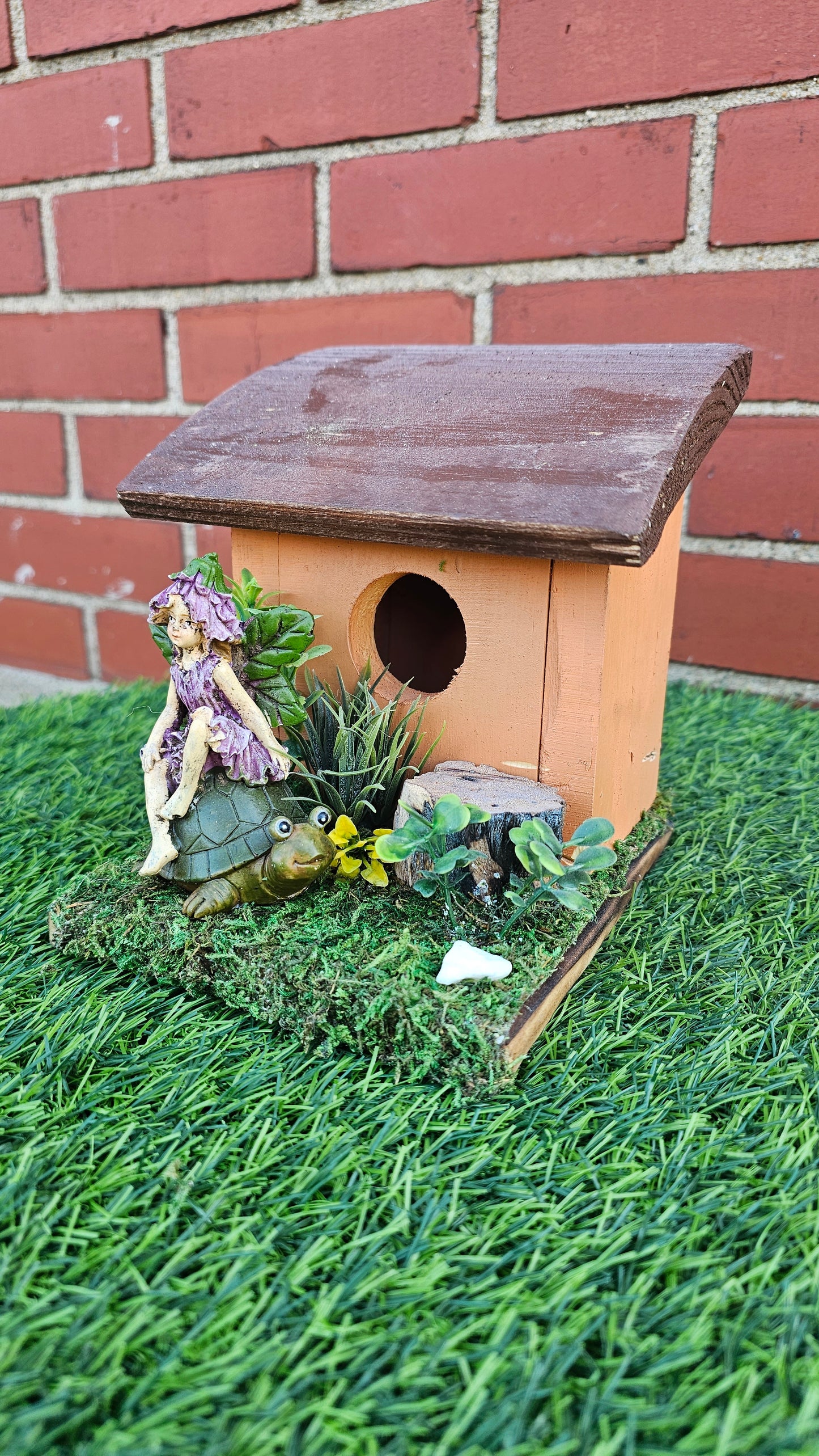 Hummingbird Home Fairy on Turtle