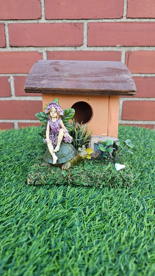 Hummingbird Home Fairy on Turtle