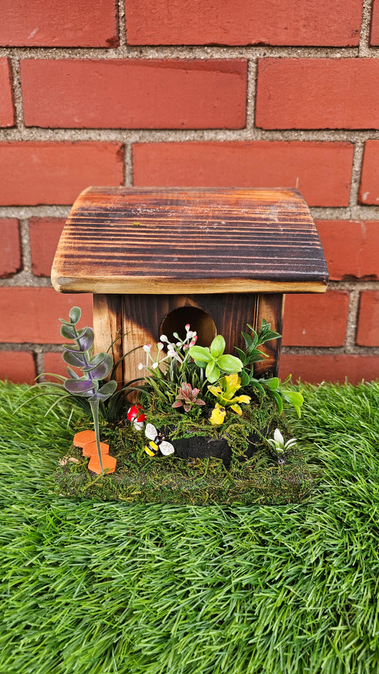 Hummingbird Home Garden with Path