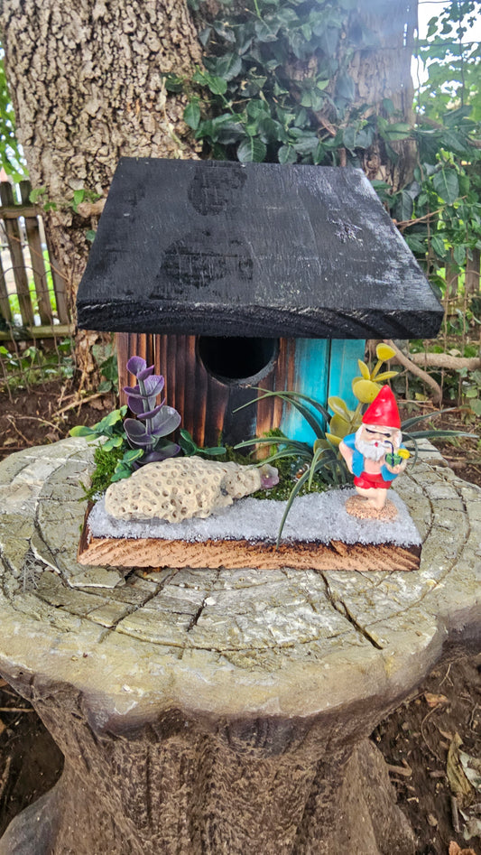 Hummingbird Home Beach Bum