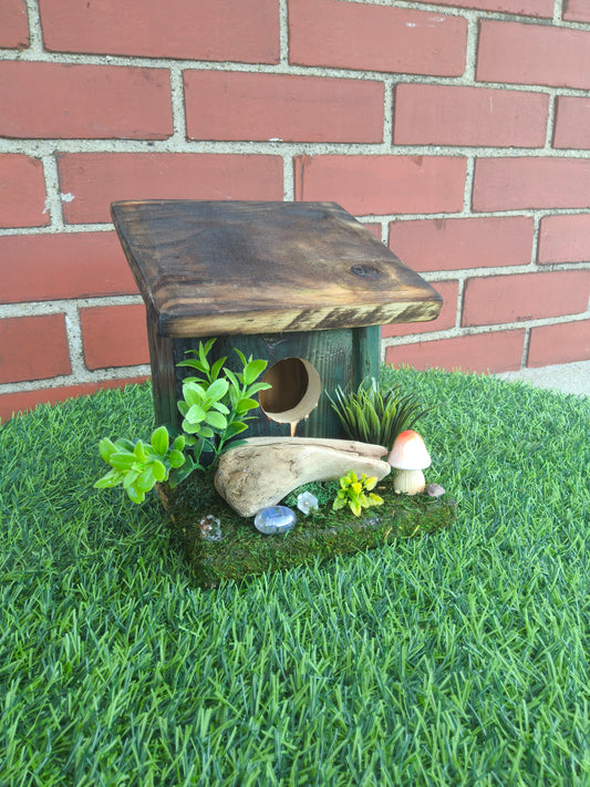 Hummingbird Home Driftwood with Mushroom
