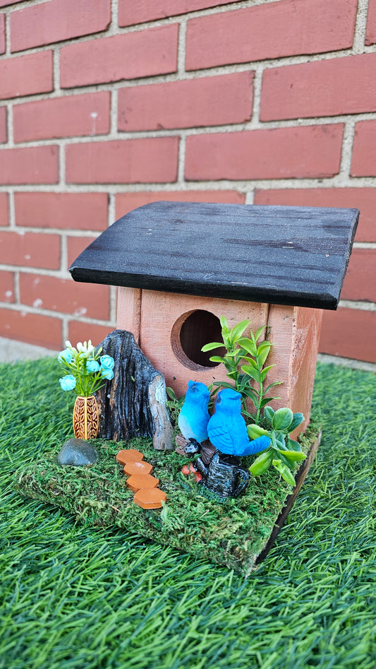 Hummingbird Home Bluebirds with Path