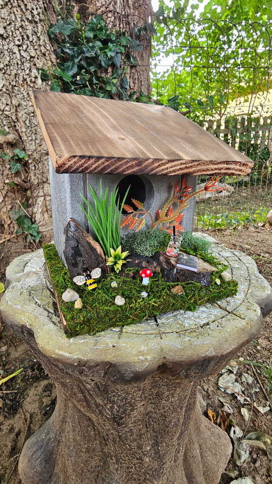 Hummingbird Home Crossed Book