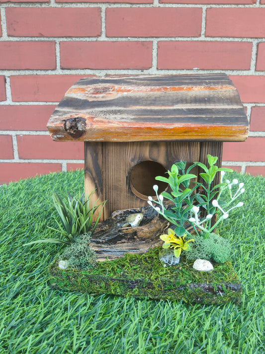 Hummingbird Home Bird on Driftwood