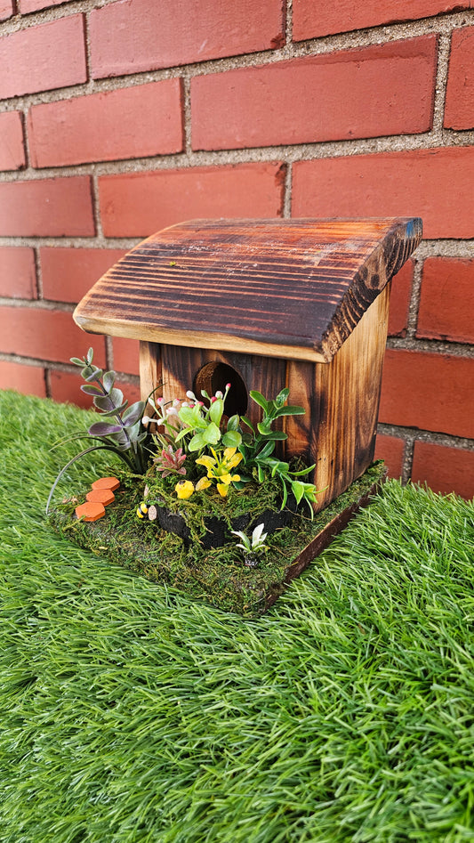 Hummingbird Home Garden with Path