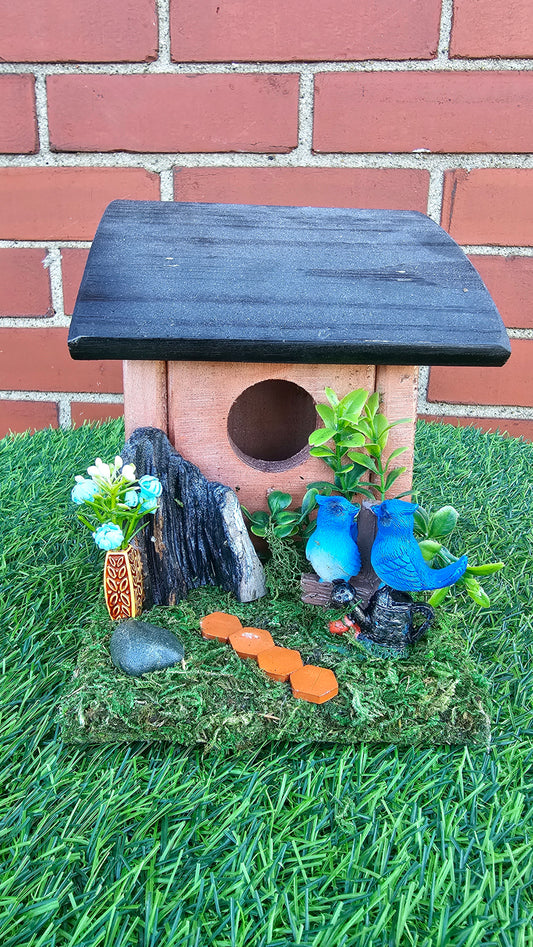 Hummingbird Home Bluebirds with Path