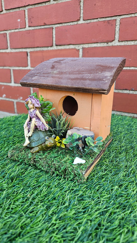 Hummingbird Home Fairy on Turtle