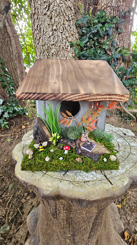 Hummingbird Home Crossed Book