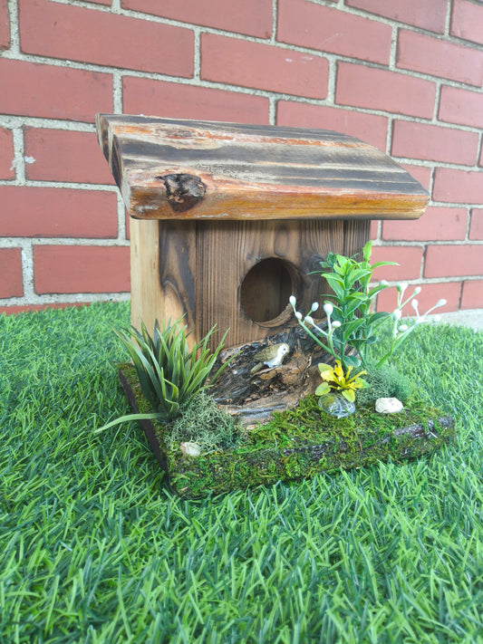 Hummingbird Home Bird on Driftwood